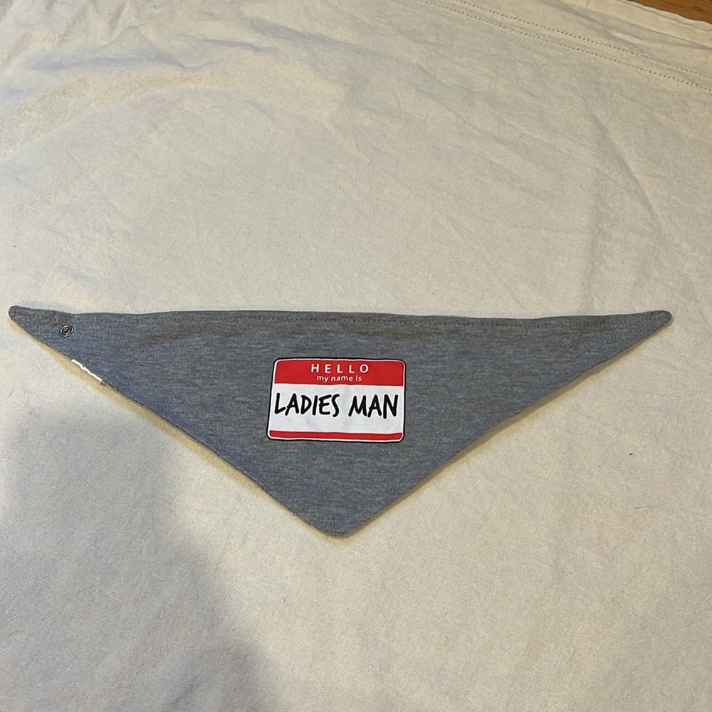 Swiggles Bib - Picture 2 of 7